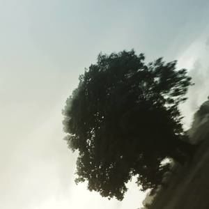 Meet your Posher, Brook